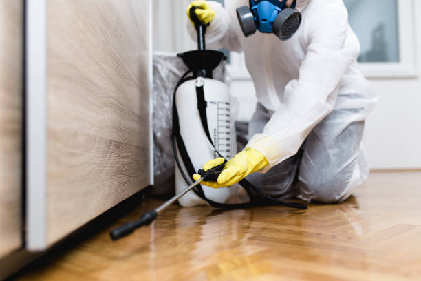 Reliable Woodmere, NY Pest Control Solutions