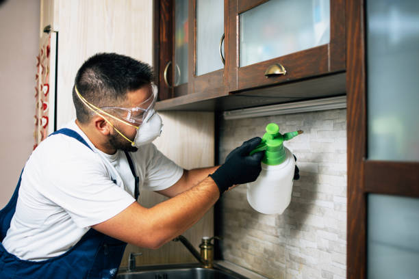 Best Rat Extermination Near Me  in Woodmere, NY